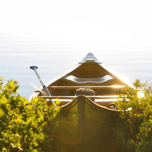 Wireless Bluetooth Earbuds